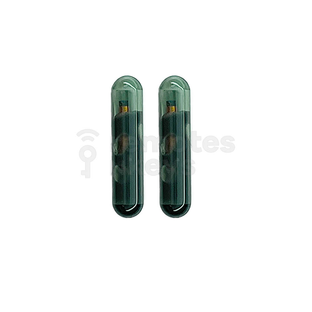 Holden/GM/Honda Megamos 13 Original Blank Chip 2 Pack