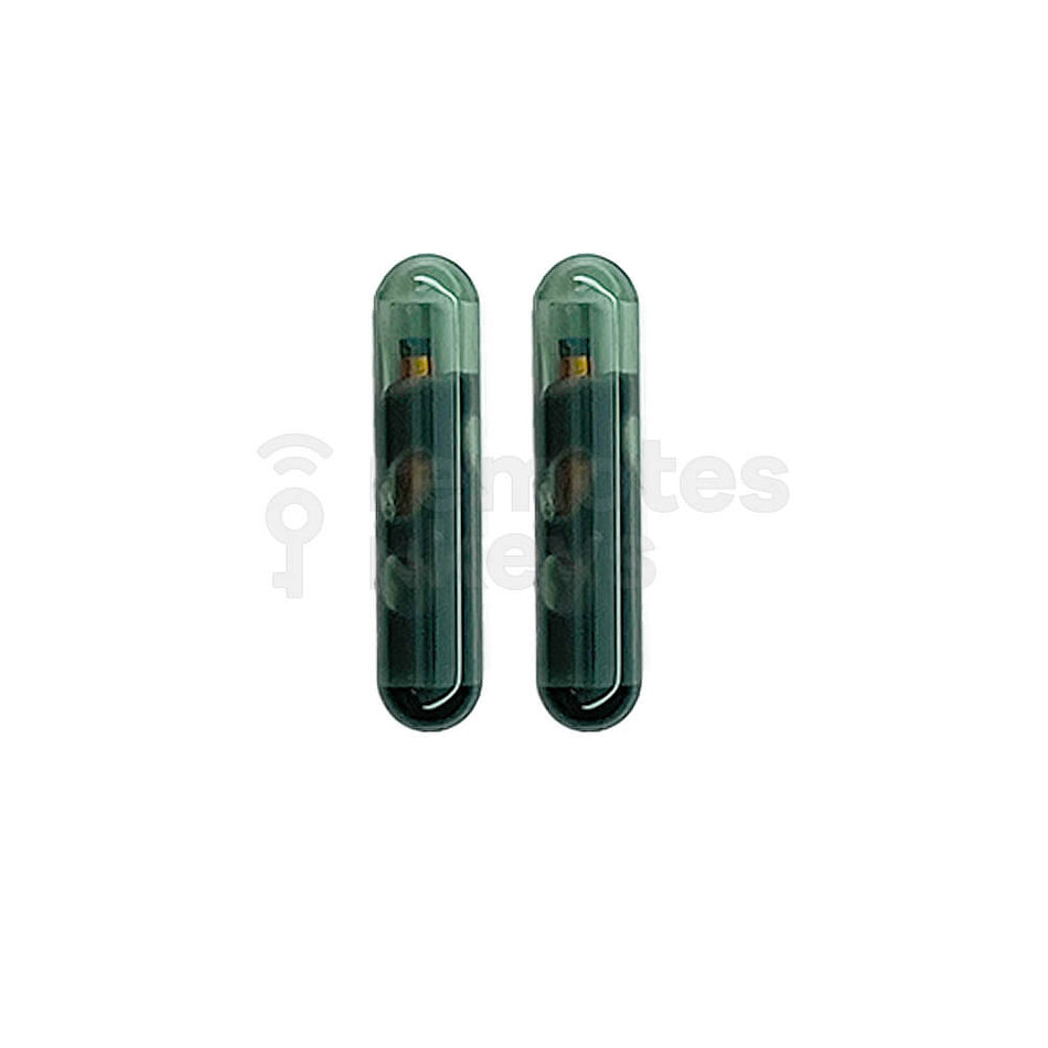 Holden/GM/Honda Megamos 13 Original Blank Chip 2 Pack