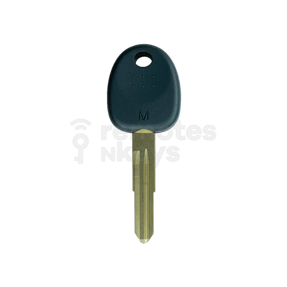 Hyundai/Kia HYN7R Multi-Function Key