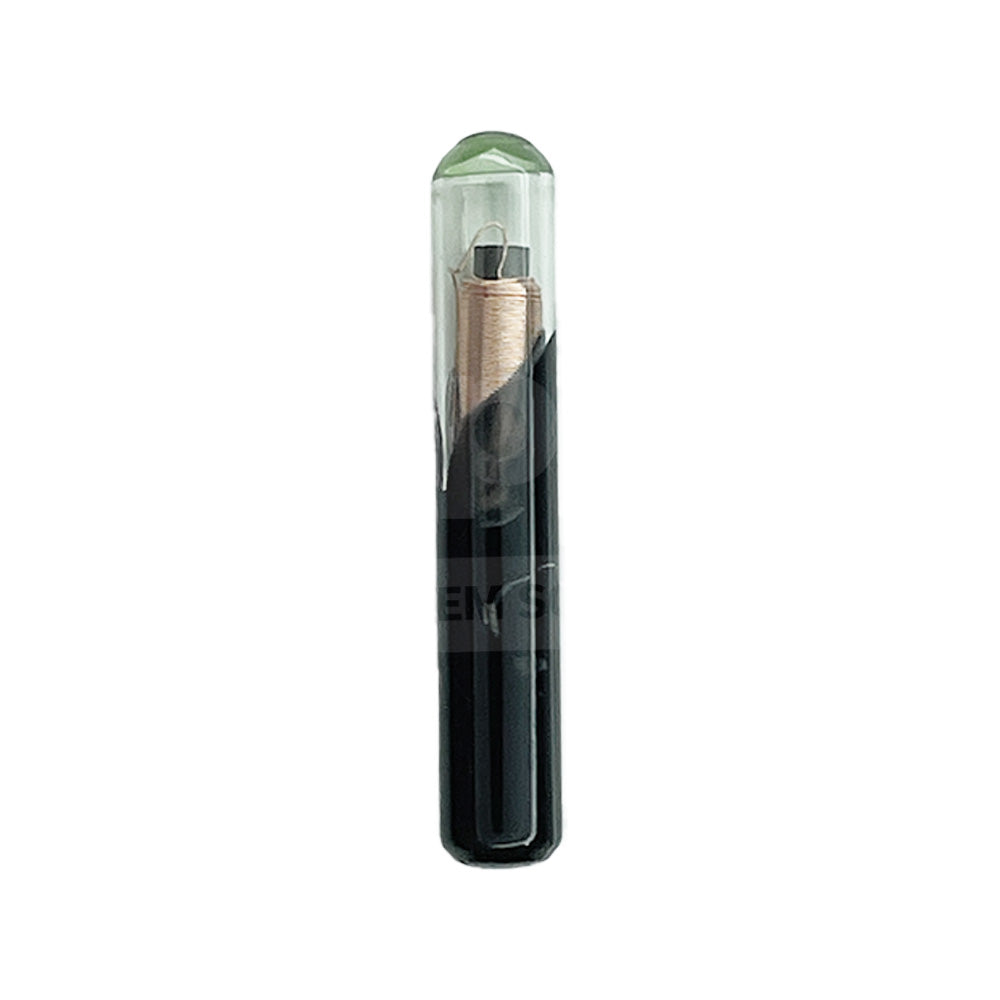 4C Blank Glass Chip