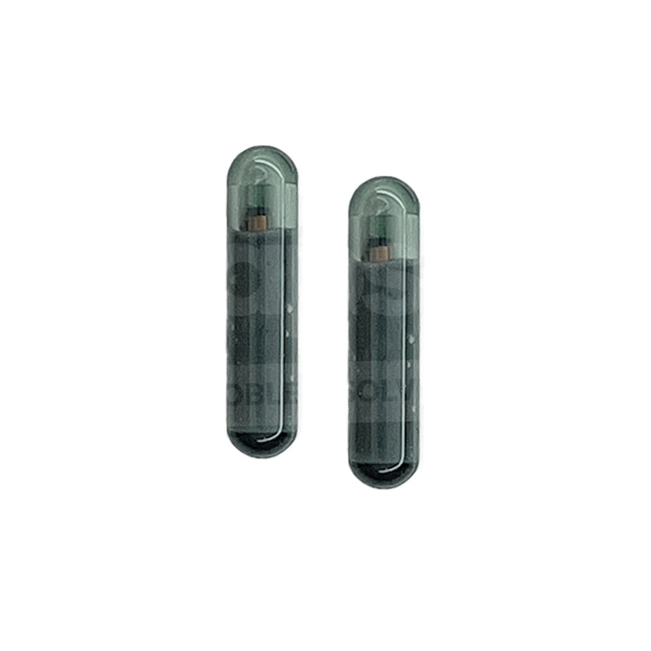 Holden/GM/Honda Megamos 13 Blank Chip 2 Pack